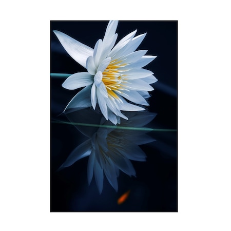 Takashi Suzuki 'Reflecting World' Canvas Art, 30x47
